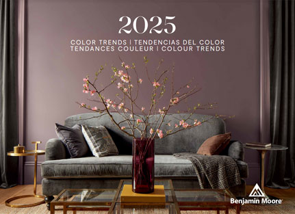 2025 Colour Trends & Colour of the Year - Cinnamon Slate 2113-40