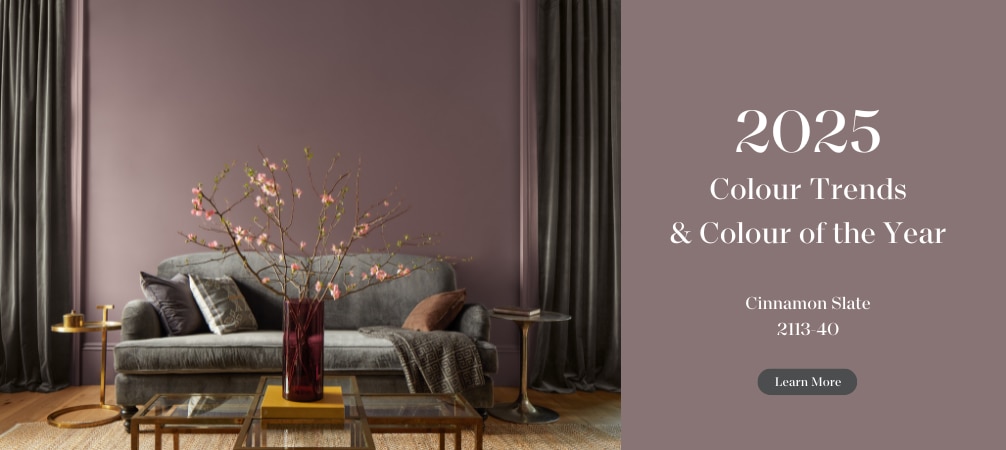 2025 Colour Trends & Colour of the Year - Cinnamon Slate 2113-40